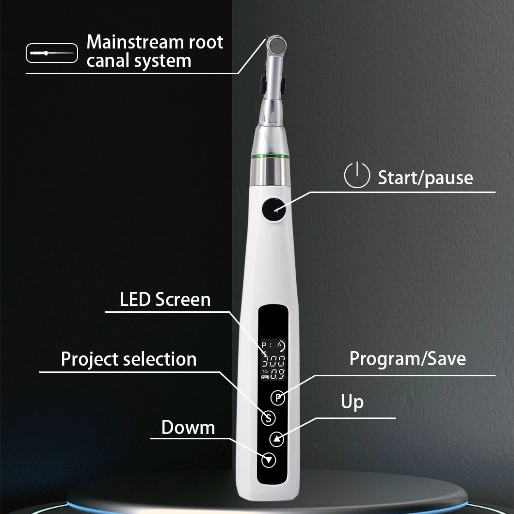 Dental Equipment 16: 1 Wireless Dental Endomotor LED Root Canal Treatment Factory Product